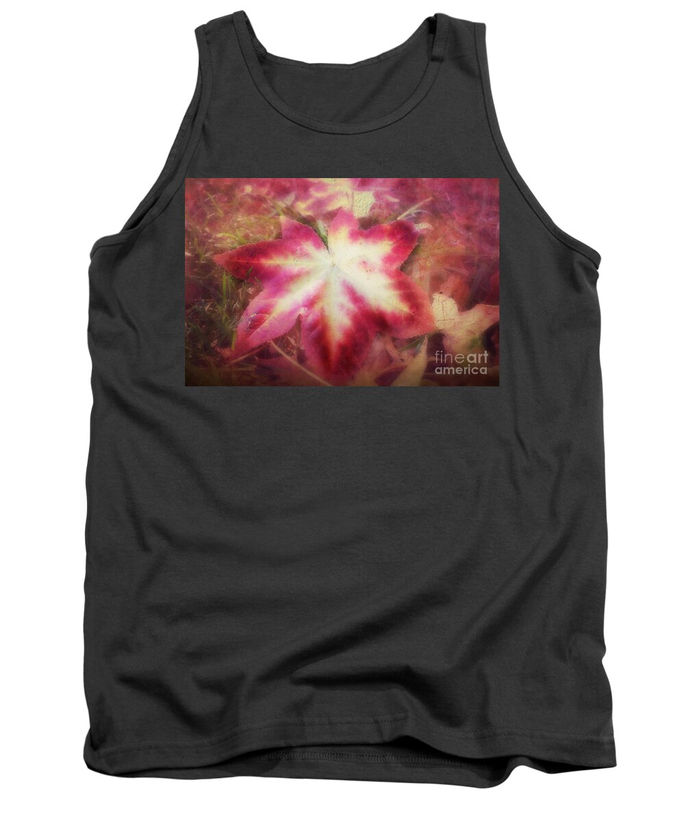 Landscape Tank Top featuring the photograph Fall For Me by Peggy Franz