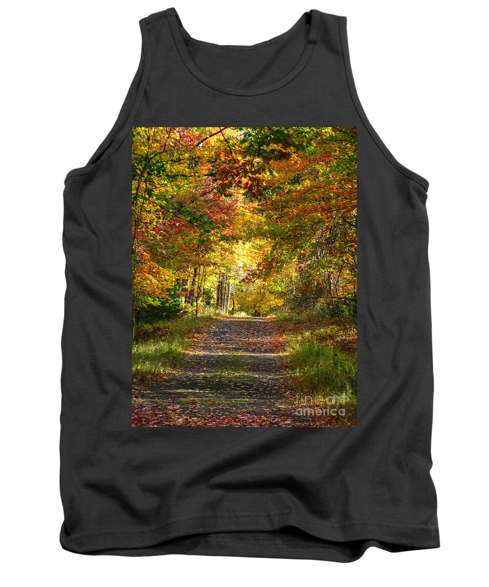 New York State Tank Top featuring the photograph Fall forest by Agnes Caruso