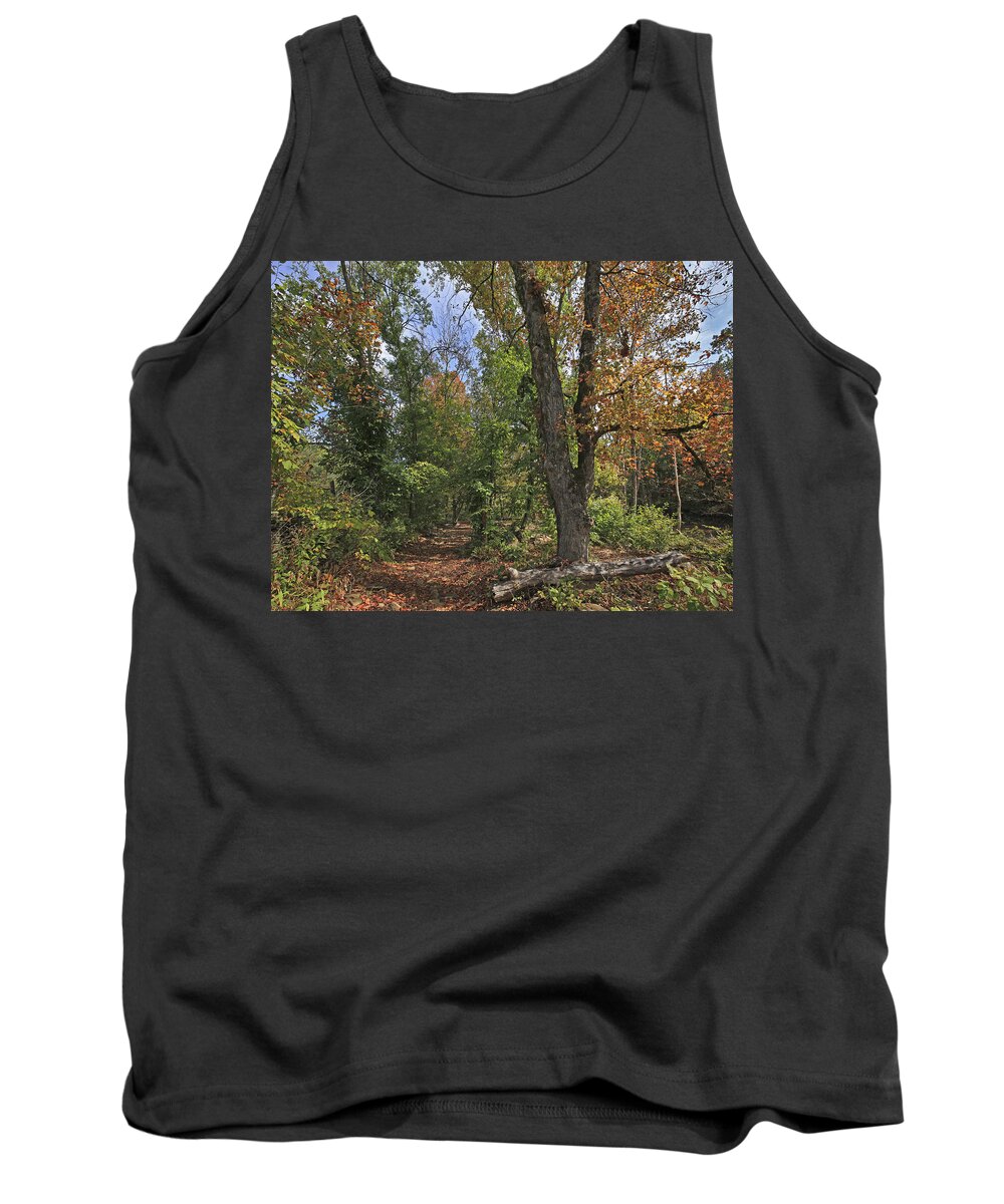 Tim Fitzharris Tank Top featuring the photograph Fall Forest Trail Ozark-saint Francis by Tim Fitzharris
