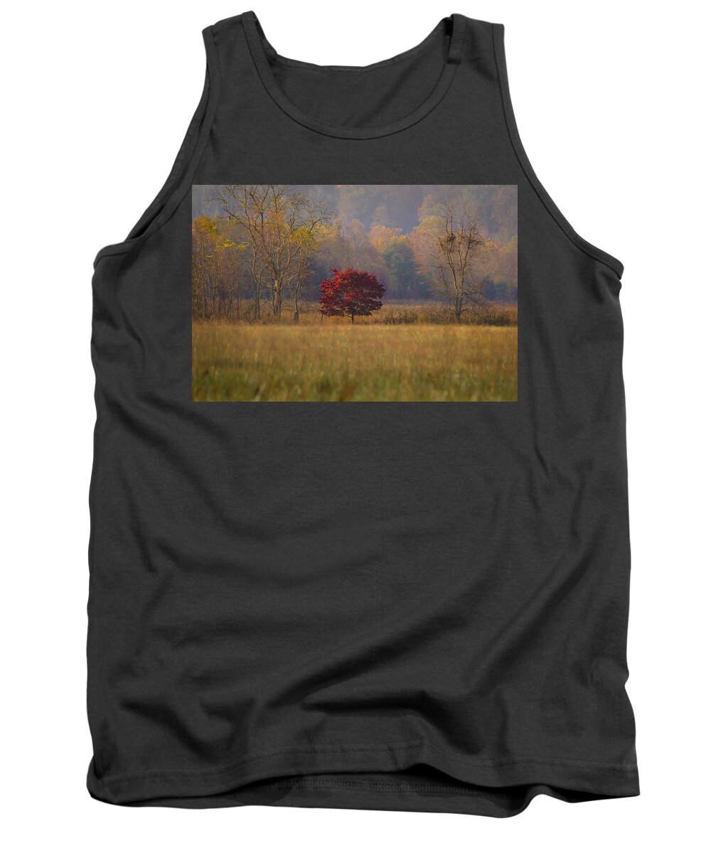 Greatsmokeymountains Tank Top featuring the photograph Fall In Her Red Dress by Debra Bowers