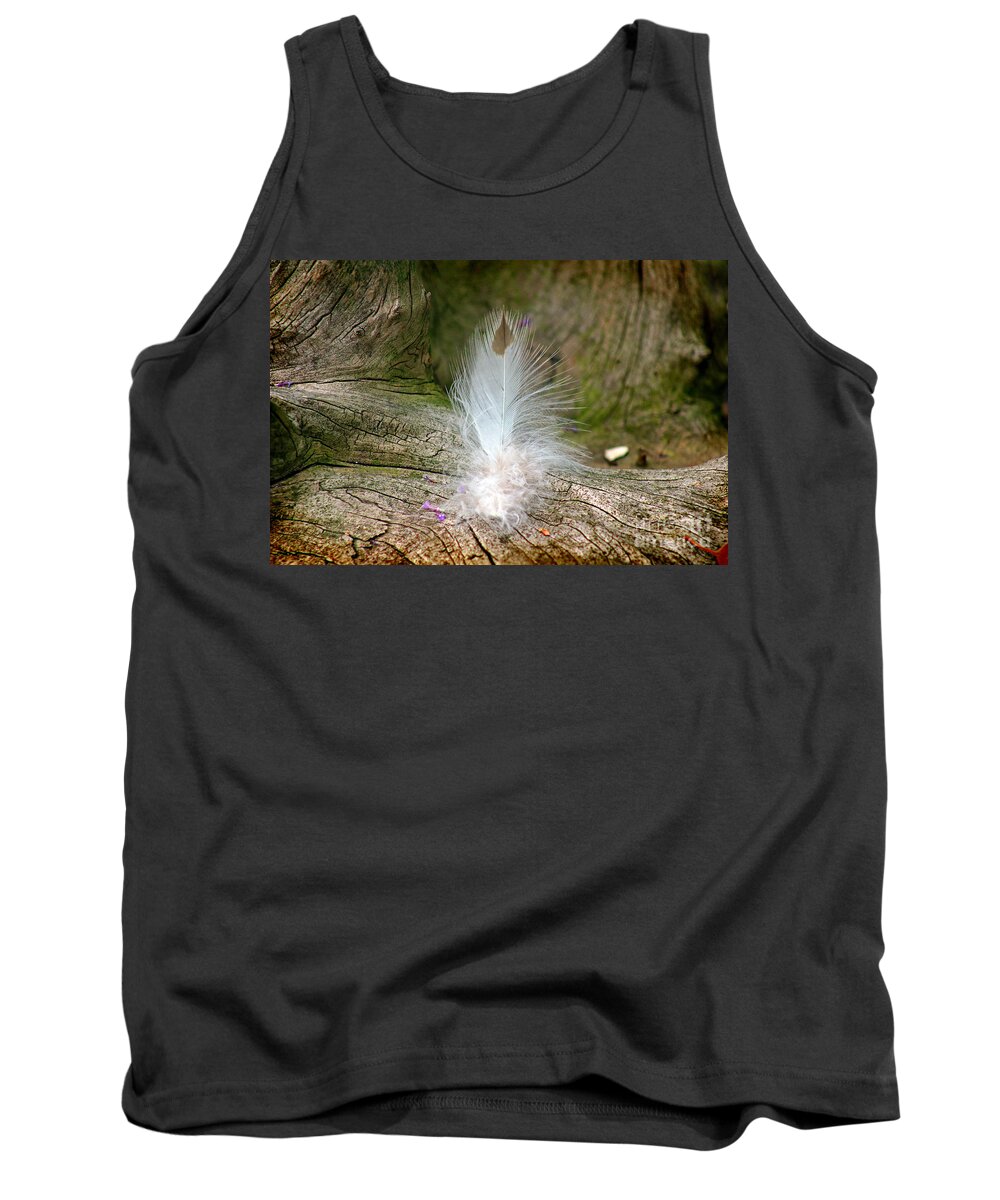 Feather Tank Top featuring the photograph Feather by Karen Adams