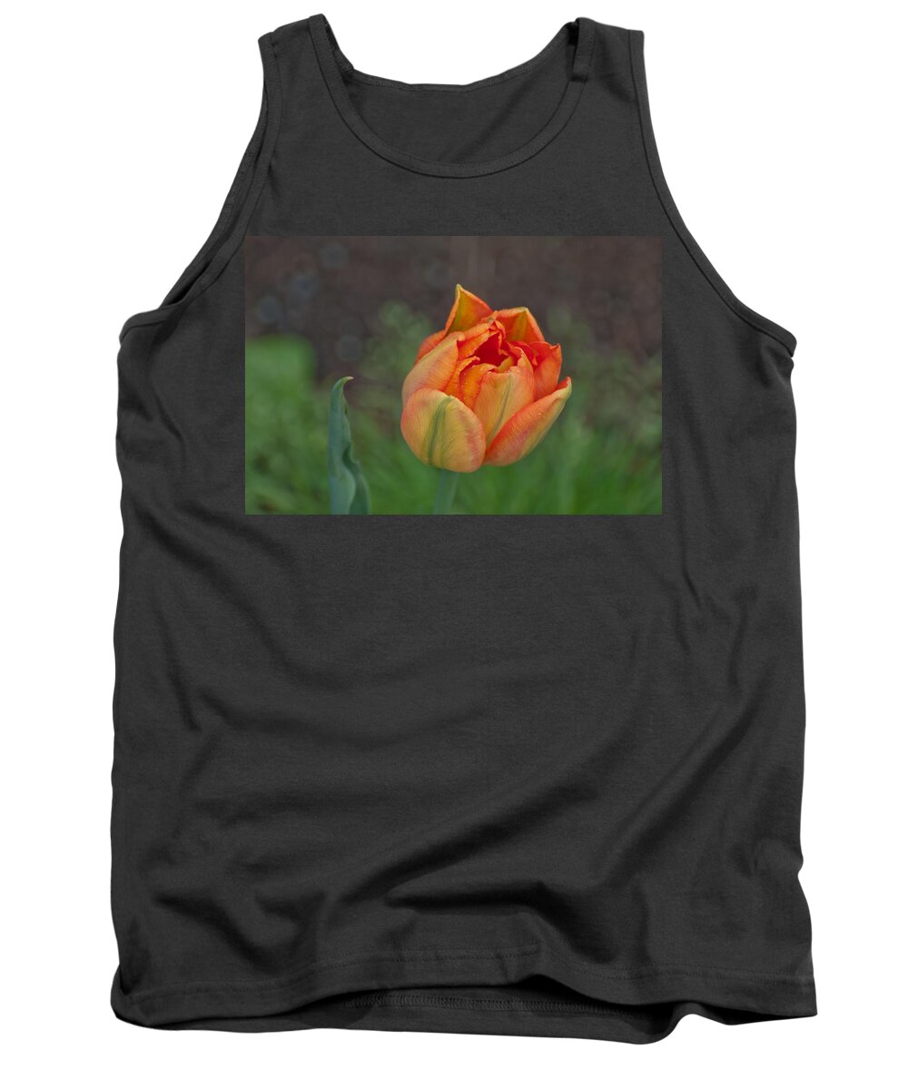 Tulip Tank Top featuring the photograph Floating Spring by Kathy Paynter
