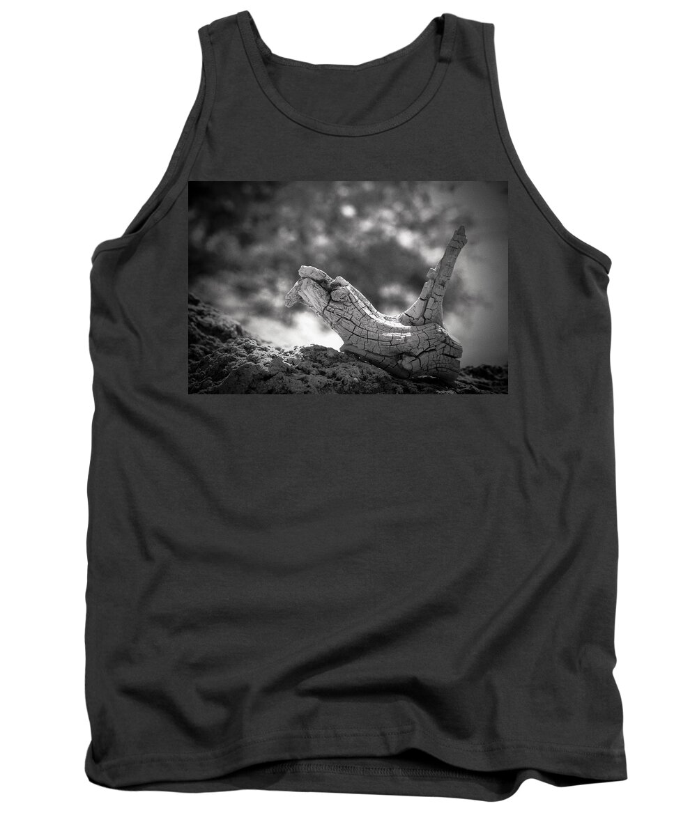 Keys Tank Top featuring the photograph Florida Keys Driftwood by Bradley R Youngberg