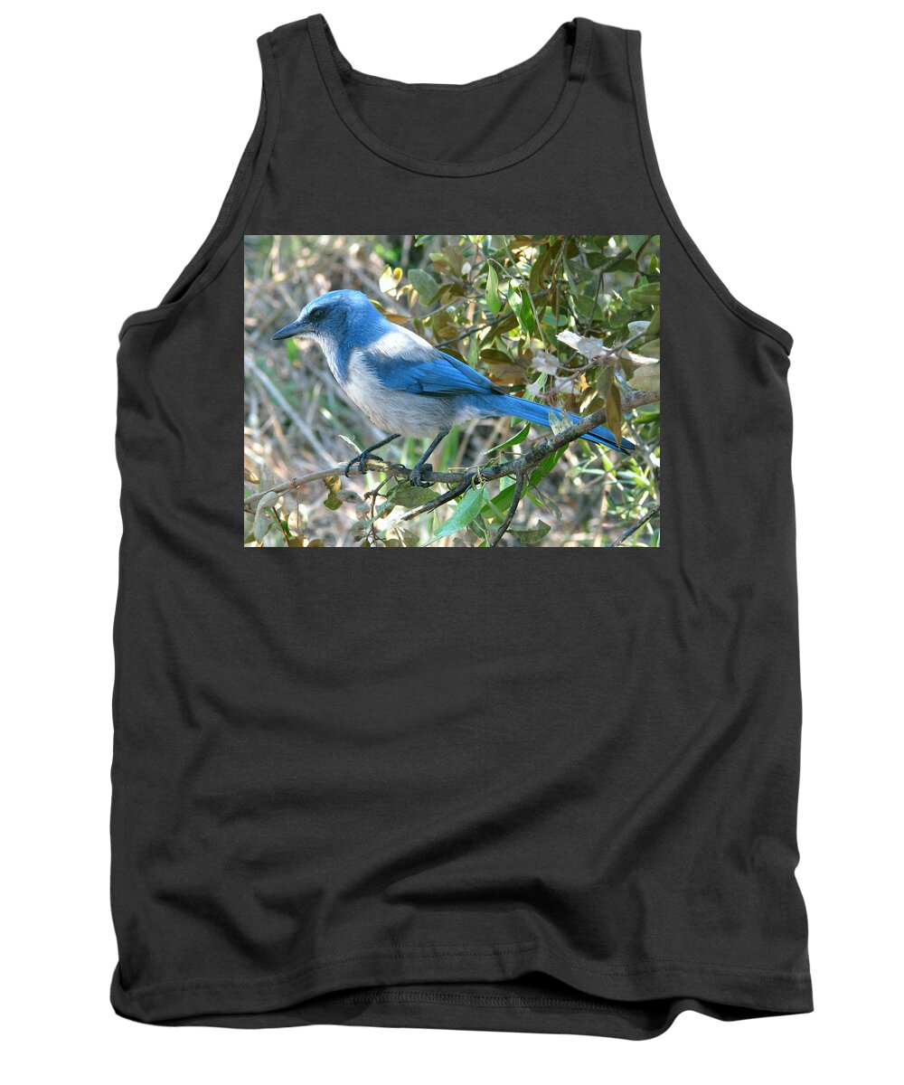 Nature Tank Top featuring the photograph Florida Scrub Jay by Peggy Urban