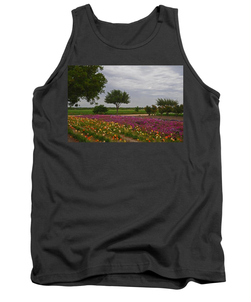 Wildflowers Tank Top featuring the photograph Flowers at Wildseed Farms by Lynn Bauer