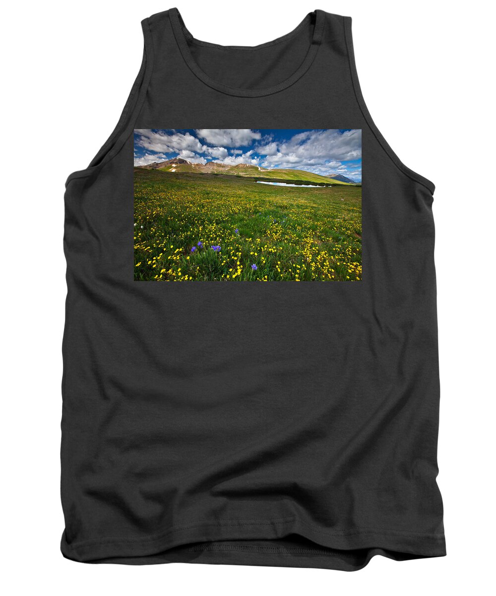 Wildflowers Tank Top featuring the photograph Flowers on the Divide by Darren White