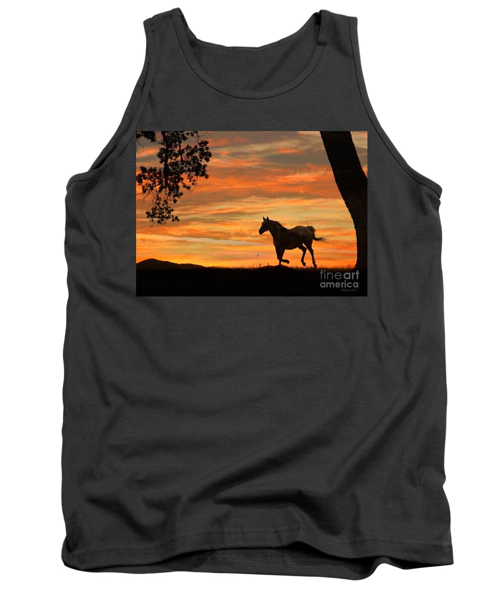 Sky Tank Top featuring the photograph Free by Stephanie Laird