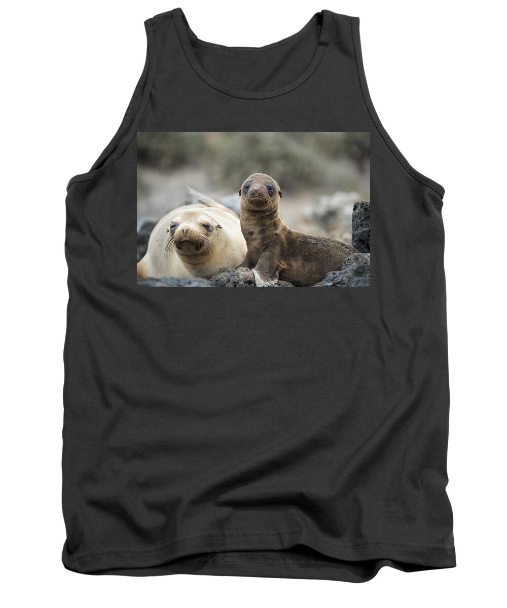 Tui De Roy Tank Top featuring the photograph Galapagos Sea Lion And Pup Champion by Tui De Roy