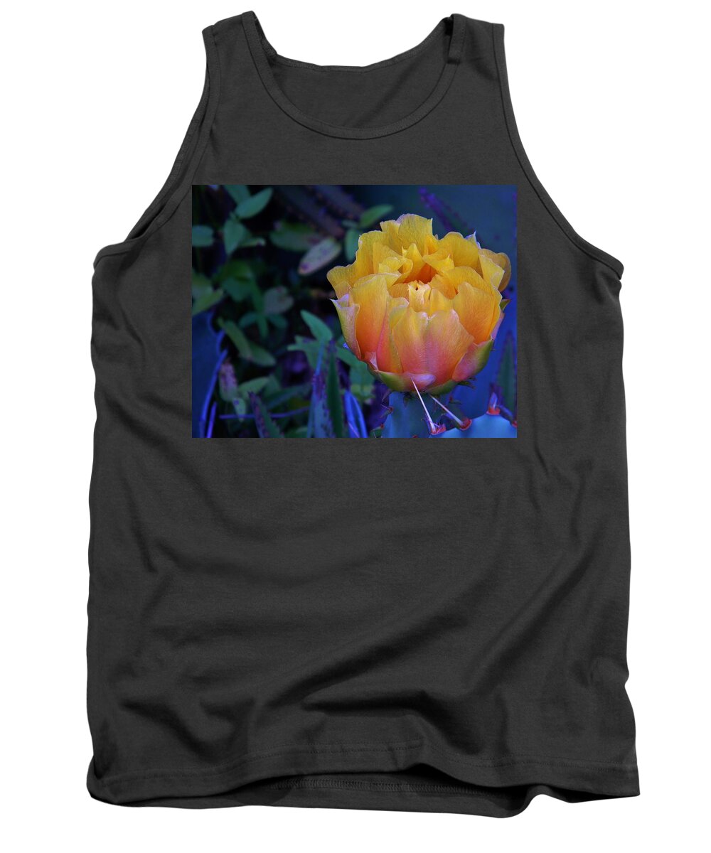 Get To The Point Tank Top featuring the photograph Get To The Point by Warren Thompson