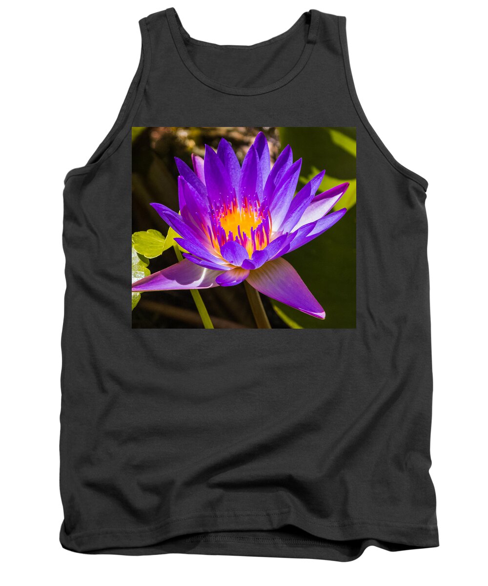 Flower Tank Top featuring the photograph Glowing from within by Jane Luxton