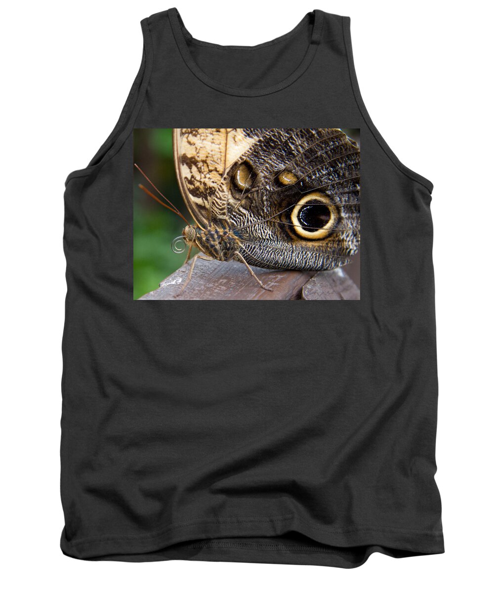 Butterfly Tank Top featuring the photograph Golden Butterfly by Natalie Rotman Cote