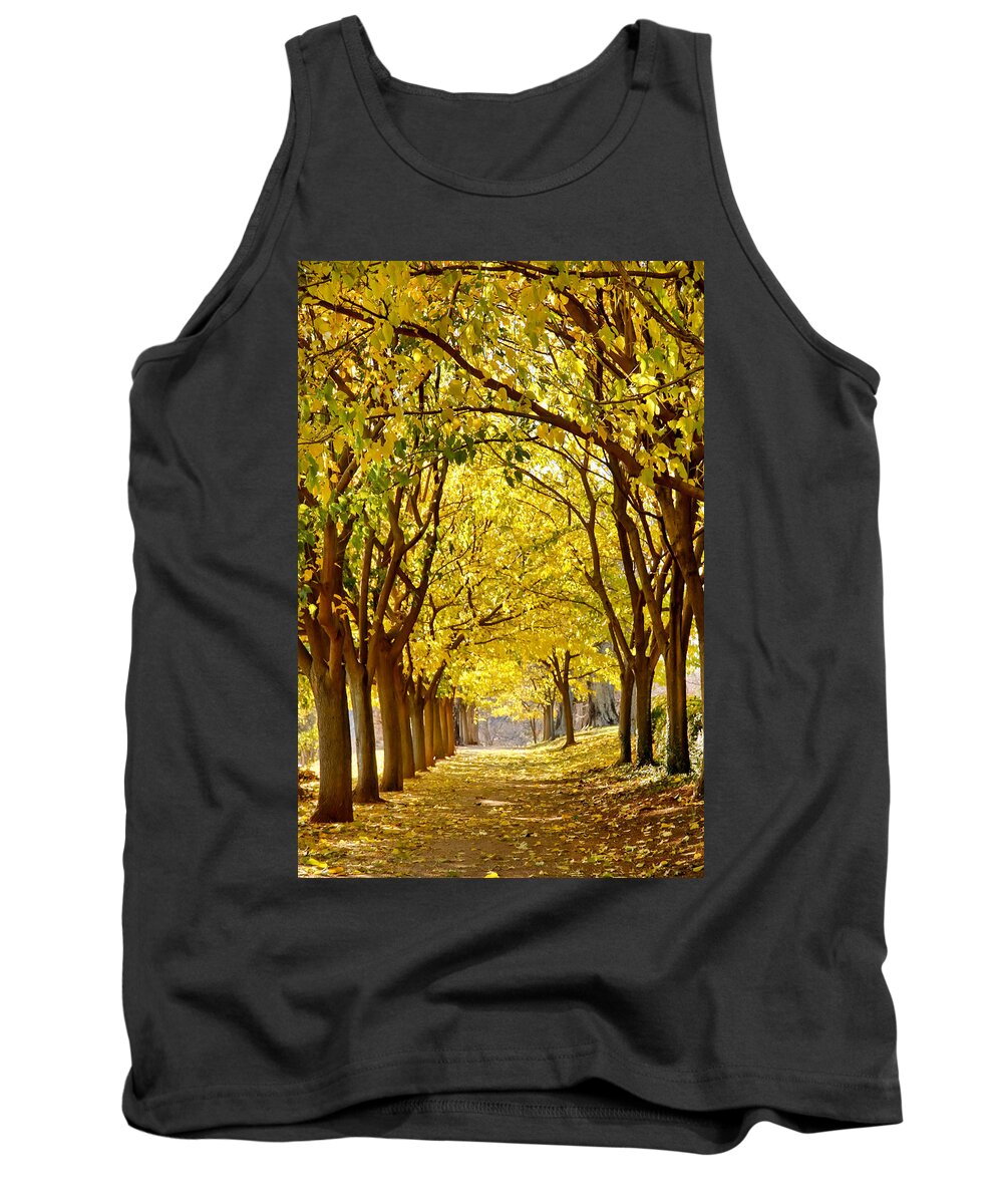 Beauty Tank Top featuring the photograph Golden Canopy by KG Thienemann