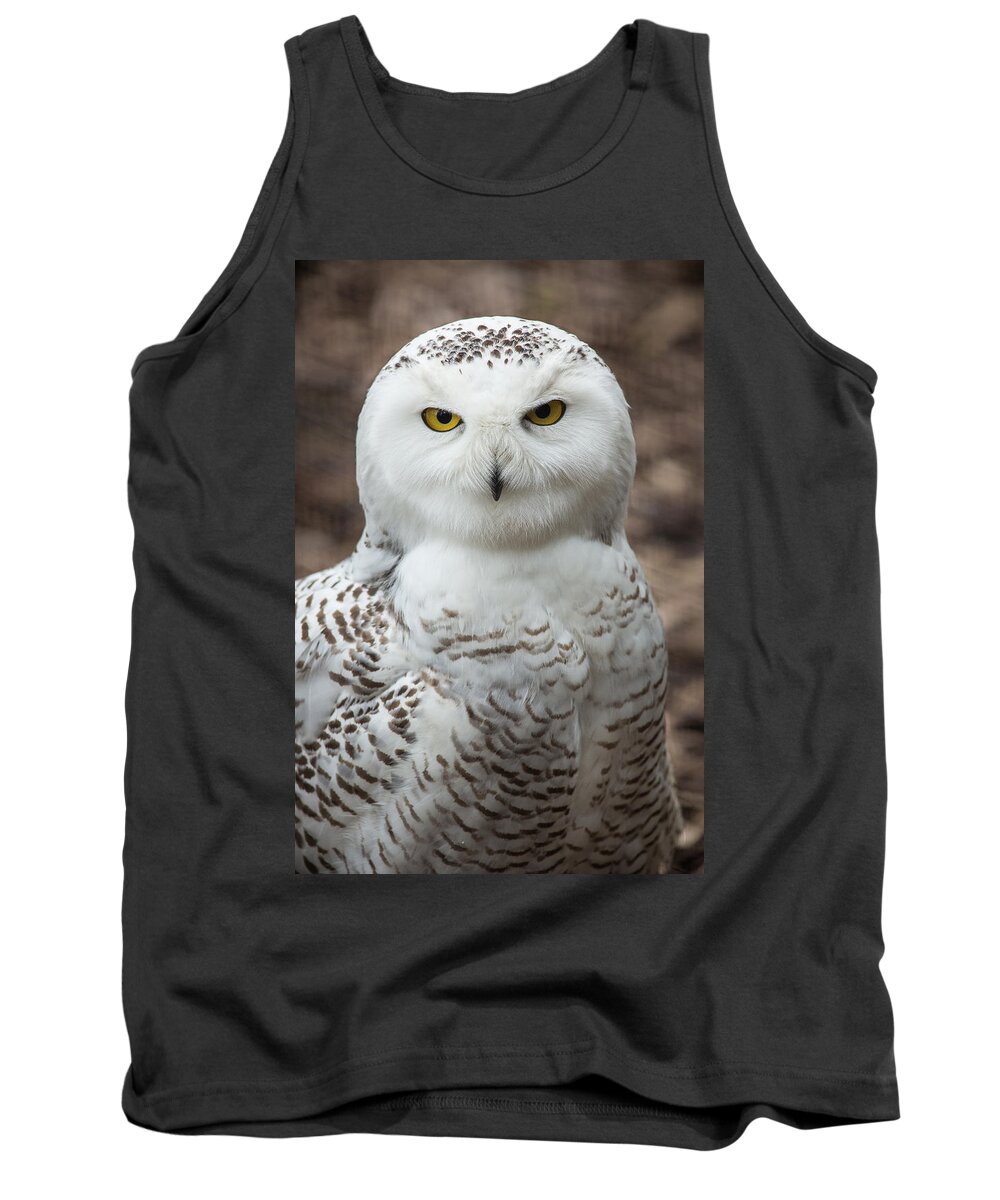 Snowy Owl Tank Top featuring the photograph Golden Eye by Dale Kincaid