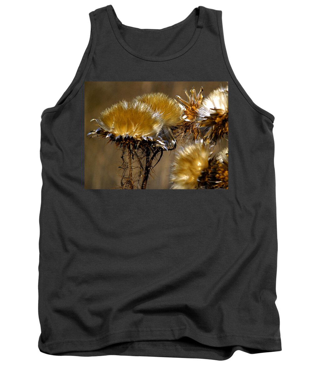 Wild Flowers Tank Top featuring the photograph Golden Thistle by Bill Gallagher