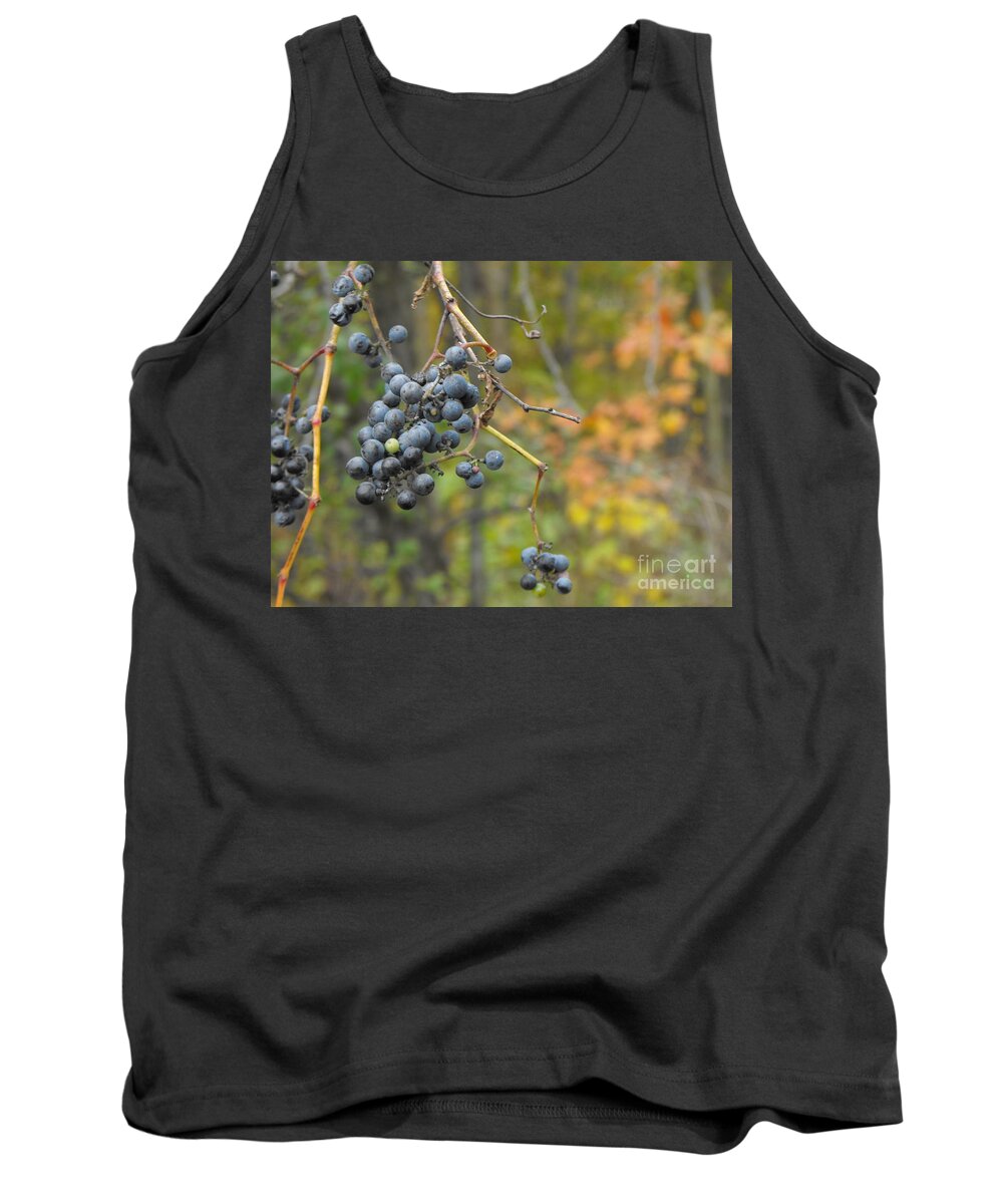 Grapes Tank Top featuring the photograph Grapes Left by Erick Schmidt
