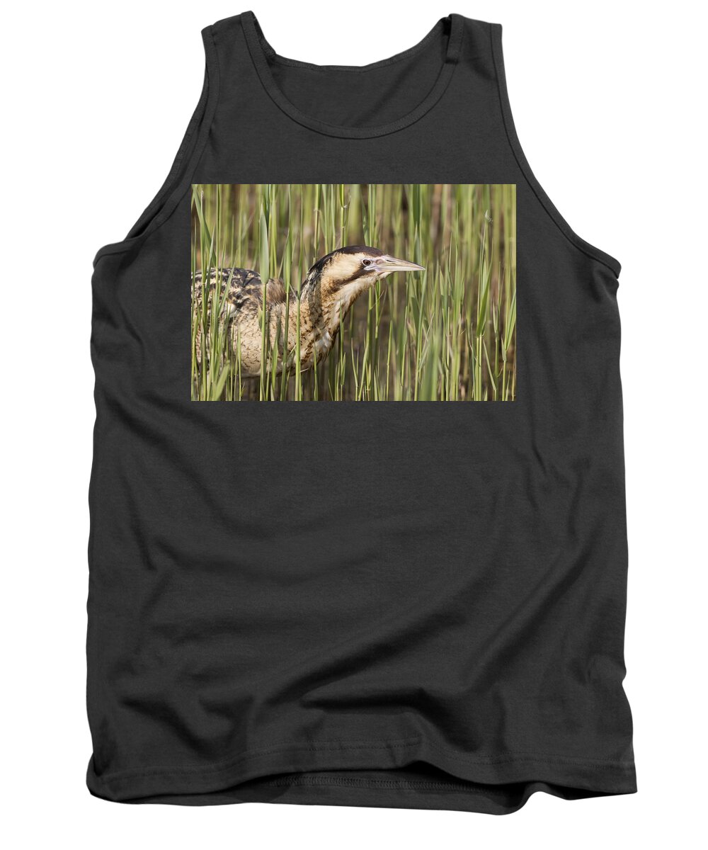 Flpa Tank Top featuring the photograph Great Bittern In Reeds Suffolk England by Dickie Duckett
