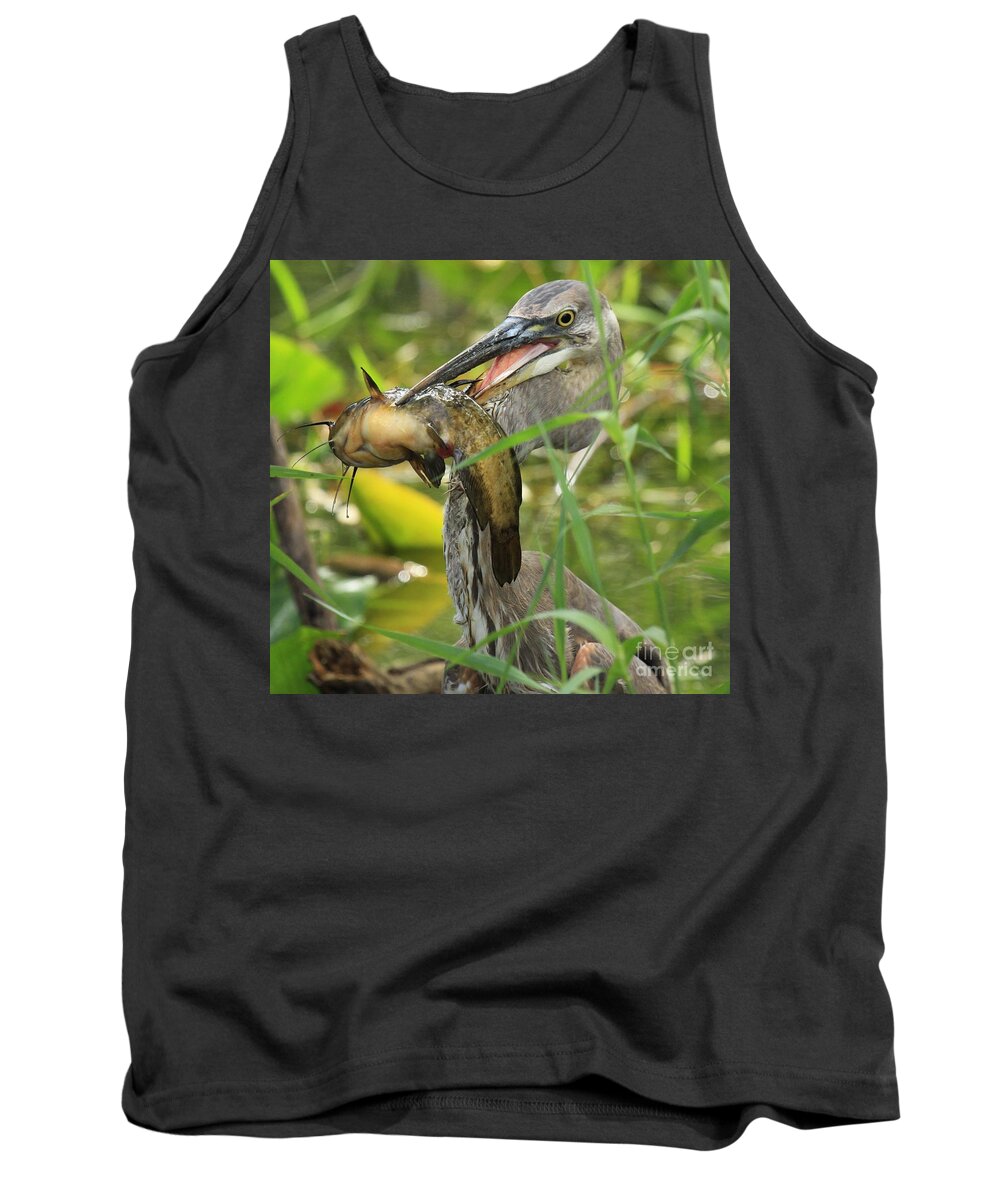 Great Blue Heron With A Fish Tank Top featuring the photograph Great Blue Killer by Adam Jewell