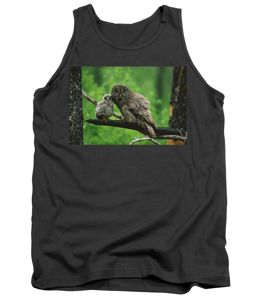 Feb0514 Tank Top featuring the photograph Great Gray Owl With Chick Saskatchewan by Tom Vezo
