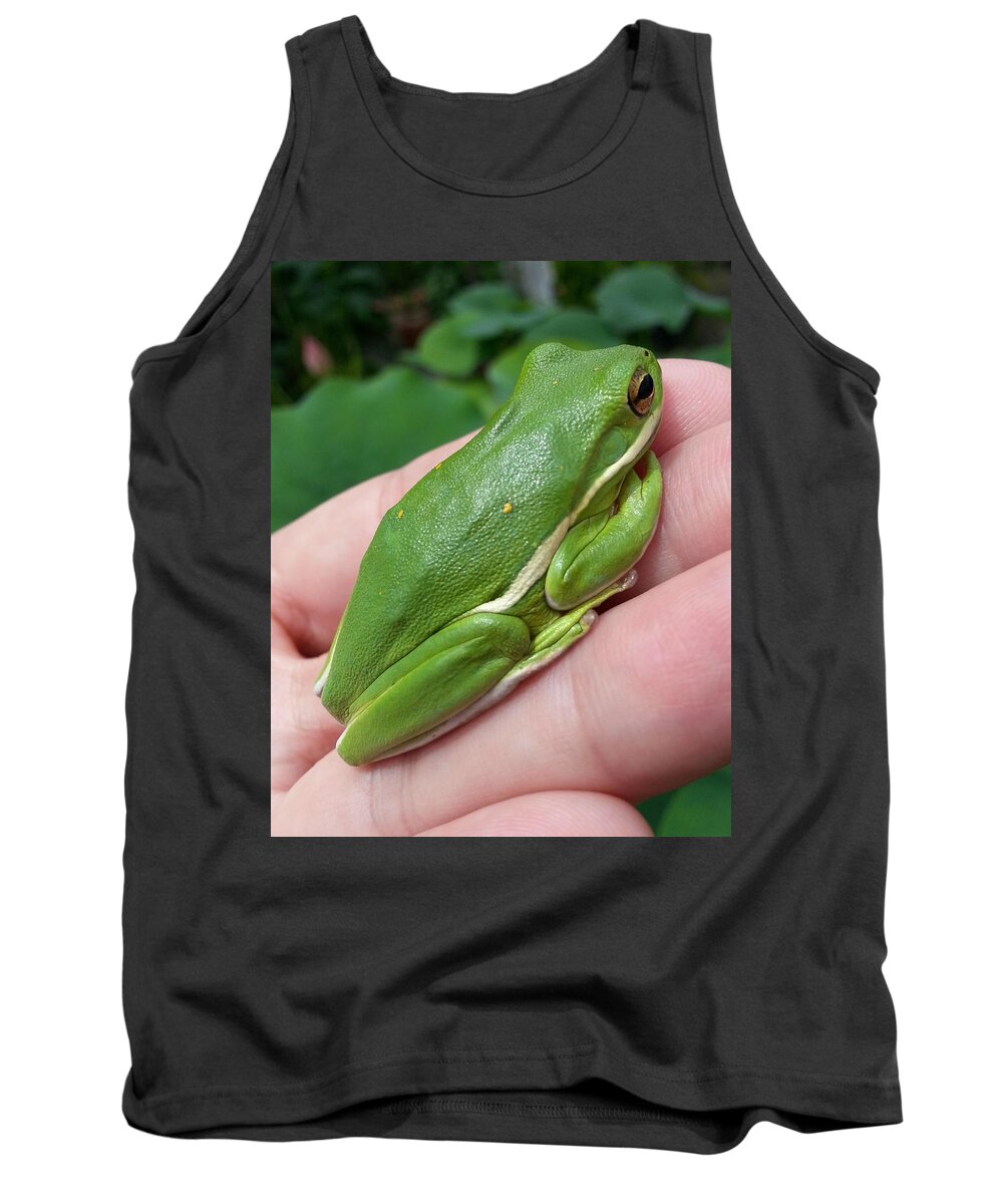 Wildlife Tank Top featuring the photograph Green is Beautiful by Brenda Stevens Fanning