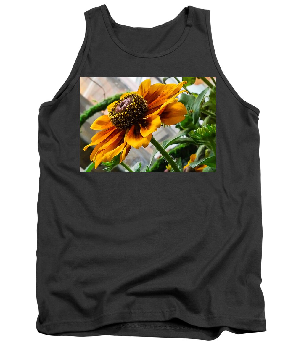 Phone Pics Tank Top featuring the photograph Greenhouse Daisy by Georgette Grossman