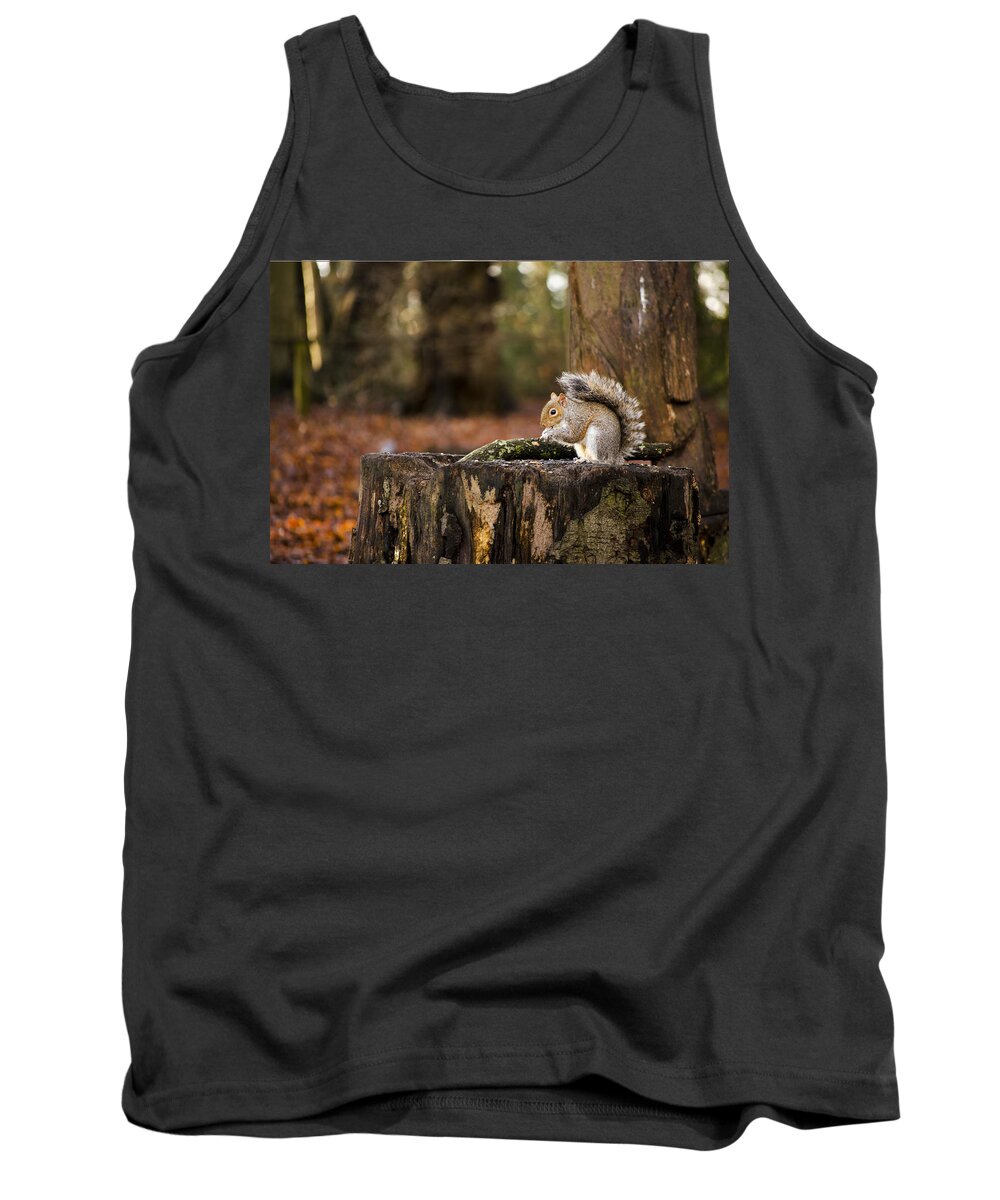Squirrel Tank Top featuring the photograph Grey Squirrel on a Stump by Spikey Mouse Photography