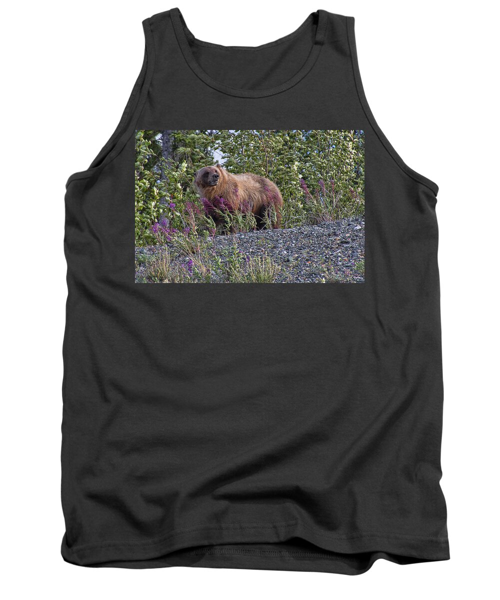 Grizzly Tank Top featuring the photograph Grizzly by David Gleeson