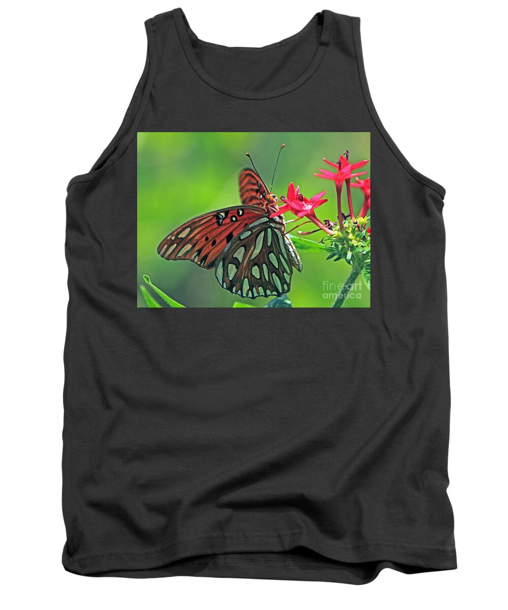 Butterfly Tank Top featuring the photograph Gulf Fritillary Butterfly by Larry Nieland