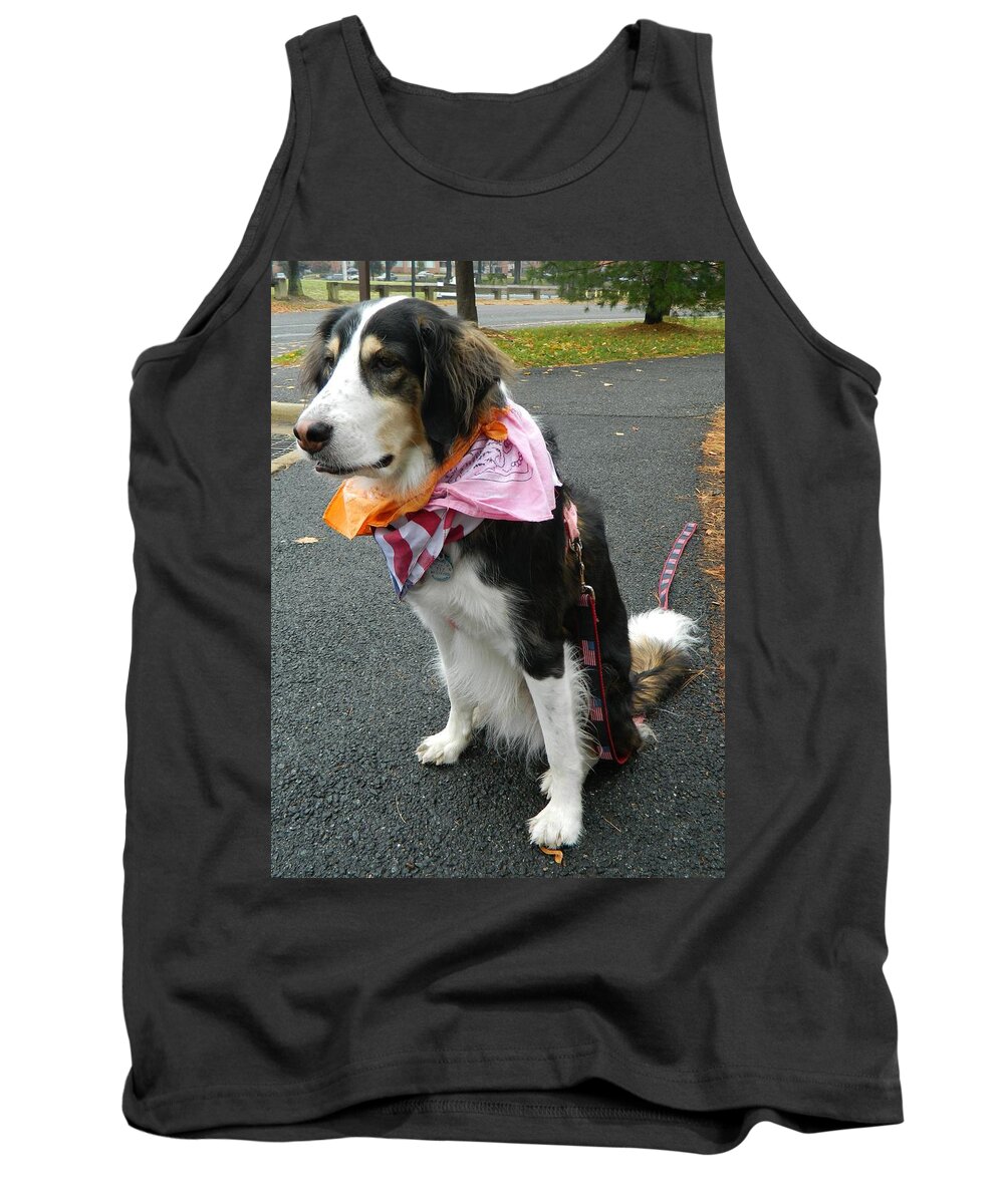 Dog Photographs Tank Top featuring the photograph Haley The Wonder Dog by Emmy Vickers