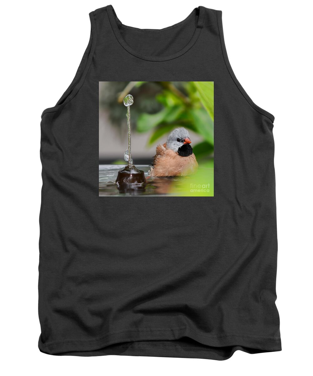 Heck's Grassfinch Tank Top featuring the photograph Heck's Grassfinch Bath Time by Olga Hamilton