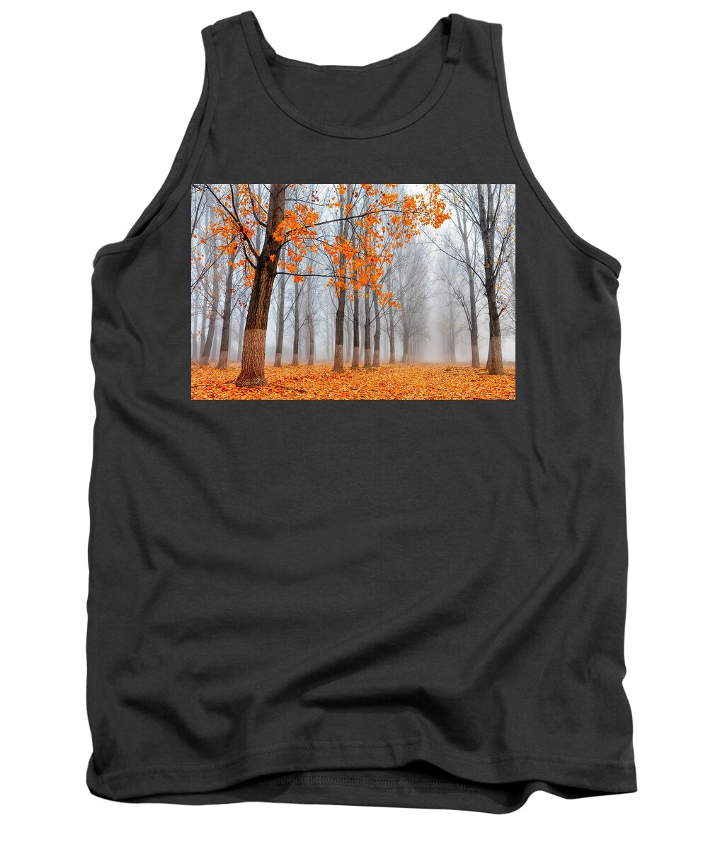 Bulgaria Tank Top featuring the photograph Heralds Of Autumn by Evgeni Dinev