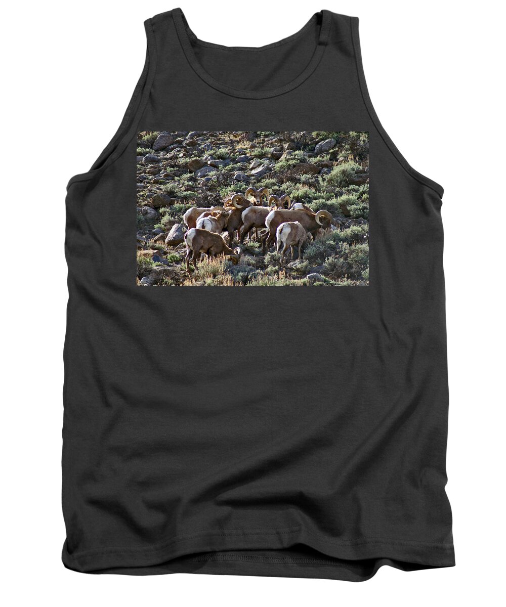 Altitude10k Photography Tank Top featuring the photograph Herd of Horns by Jeremy Rhoades