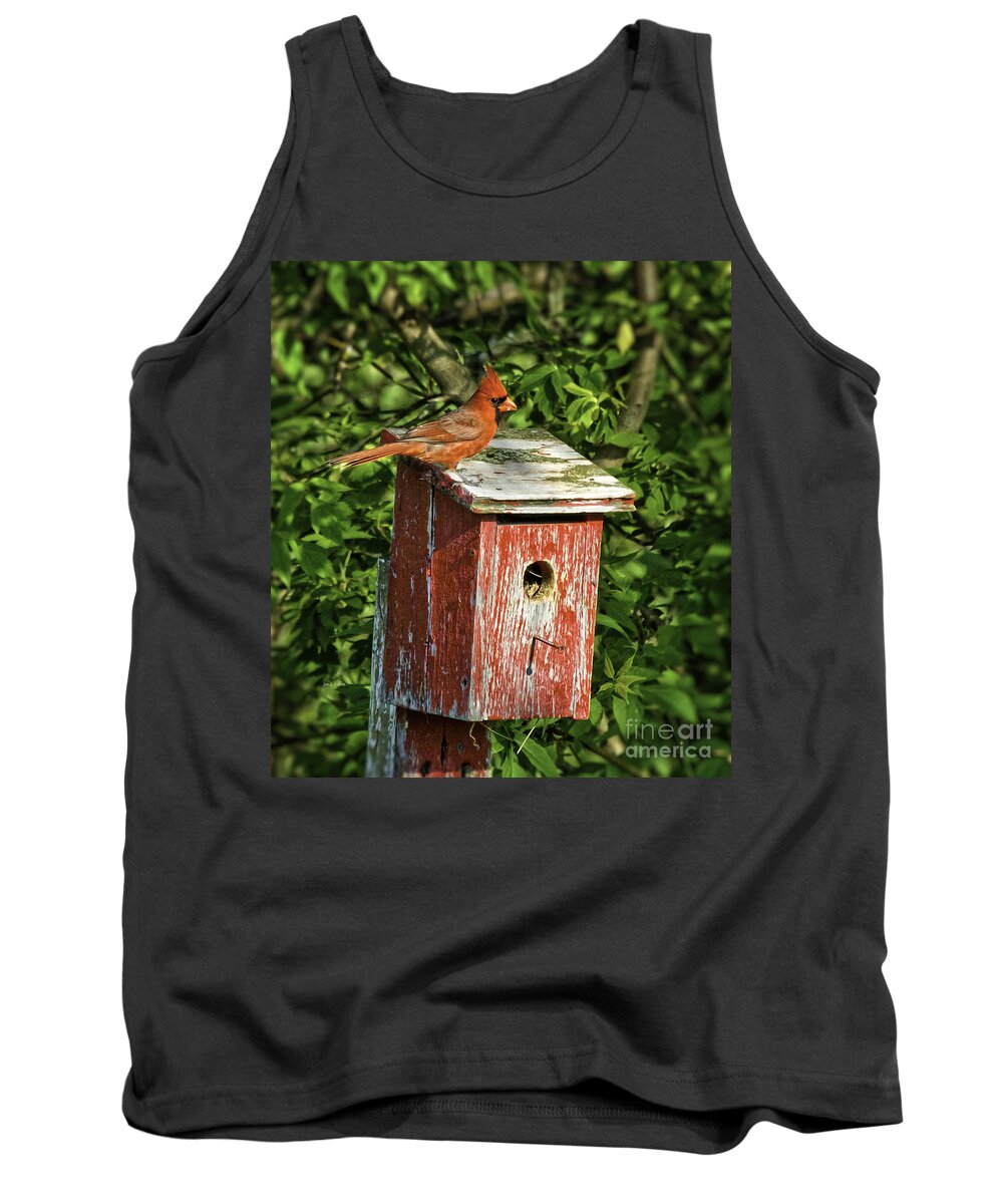 Cardinal Tank Top featuring the photograph Home by Jan Killian