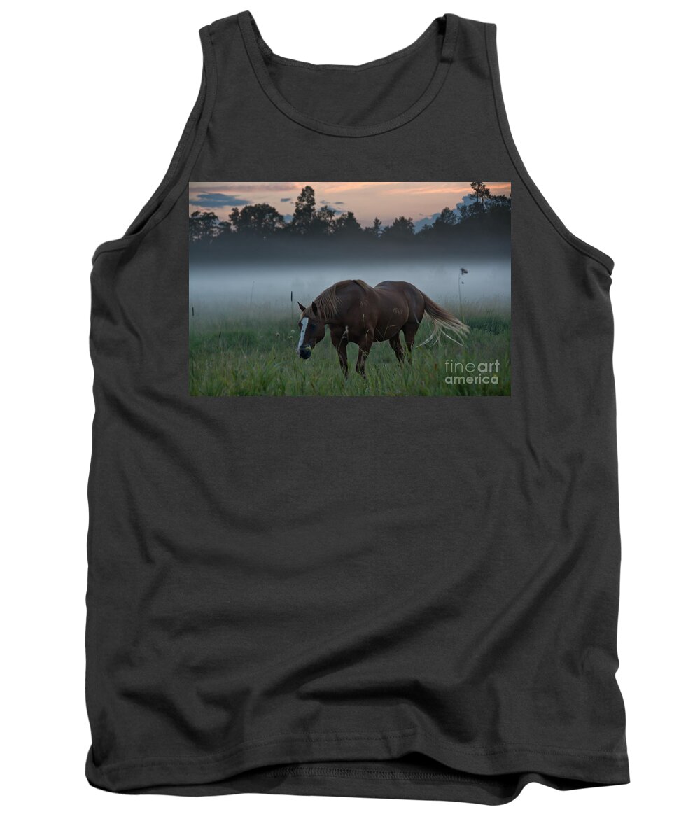 Landscape Tank Top featuring the photograph Horse and Fog by Cheryl Baxter