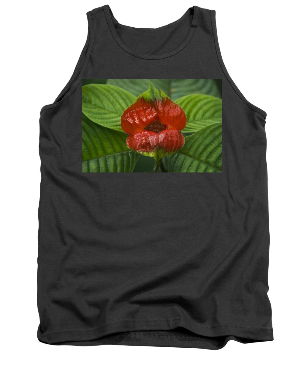 Pete Oxford Tank Top featuring the photograph Hot Lips Flower Ecuador by Pete Oxford