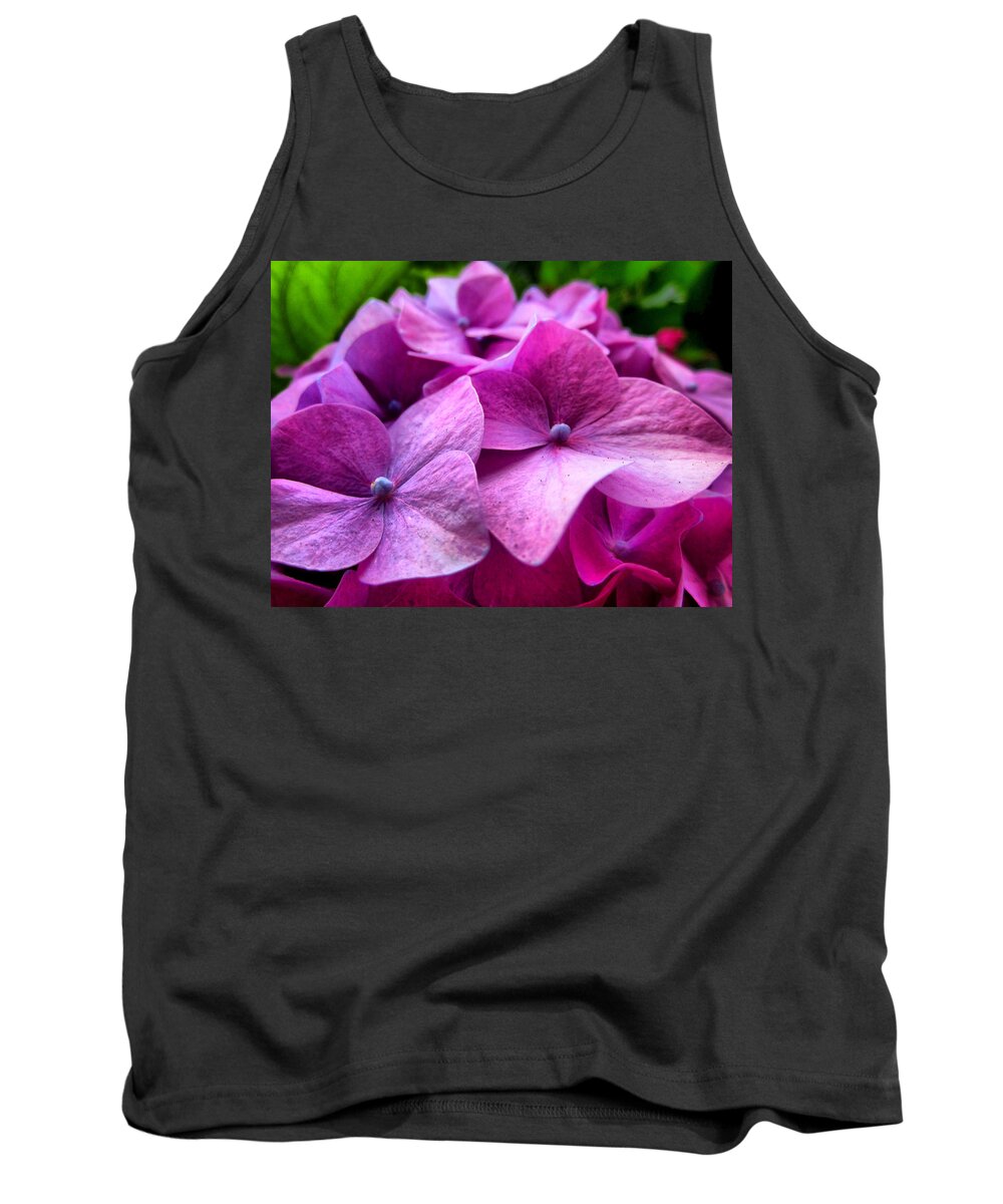 Hydrangea Tank Top featuring the photograph Hydrangea Bliss by Spencer Hughes