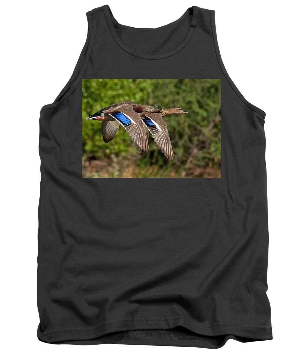 Ducks Flight Tank Top featuring the photograph In Tandem by Tam Ryan