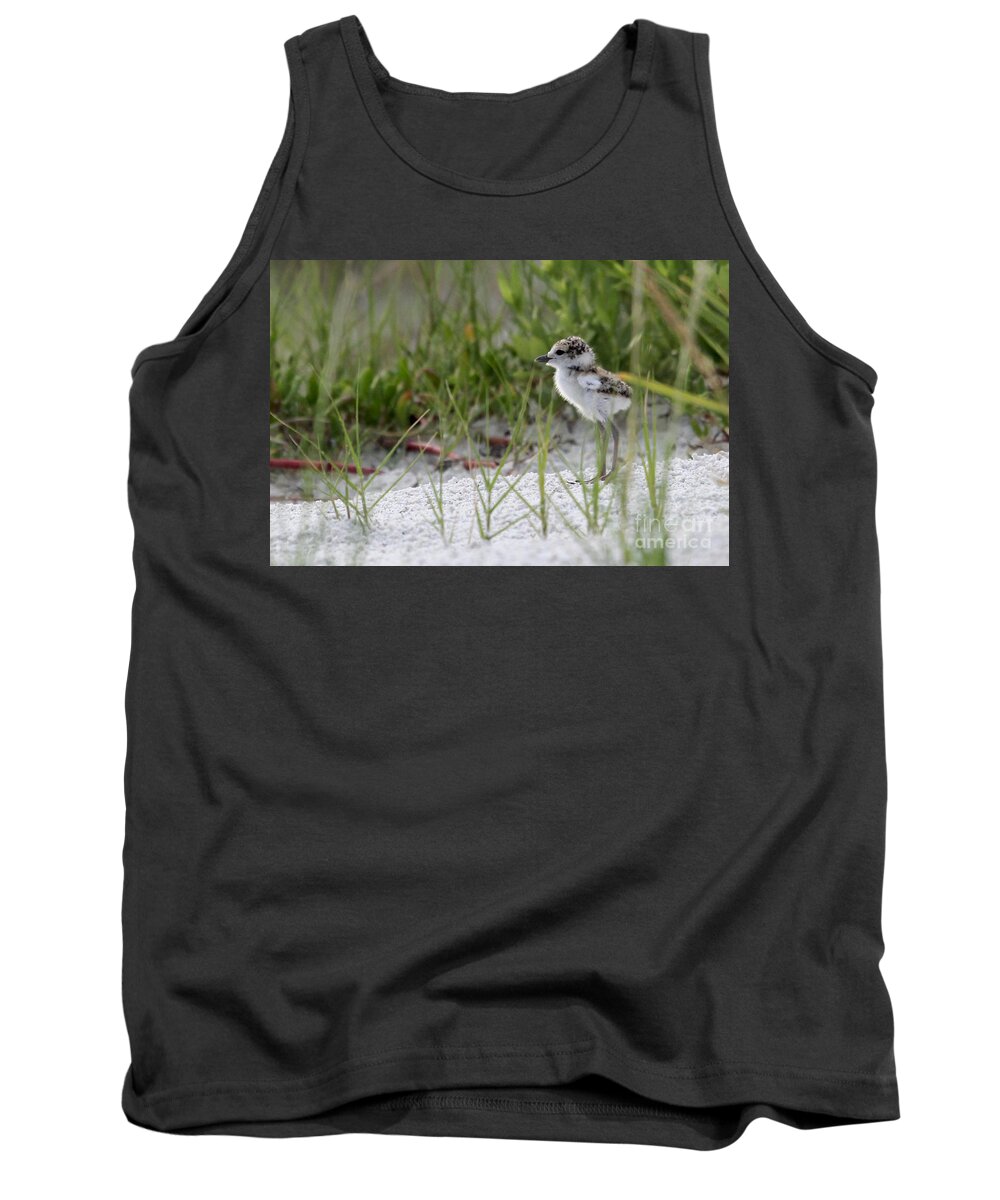Wilson's Plover Tank Top featuring the photograph In the Grass - Wilson's Plover Chick by Meg Rousher