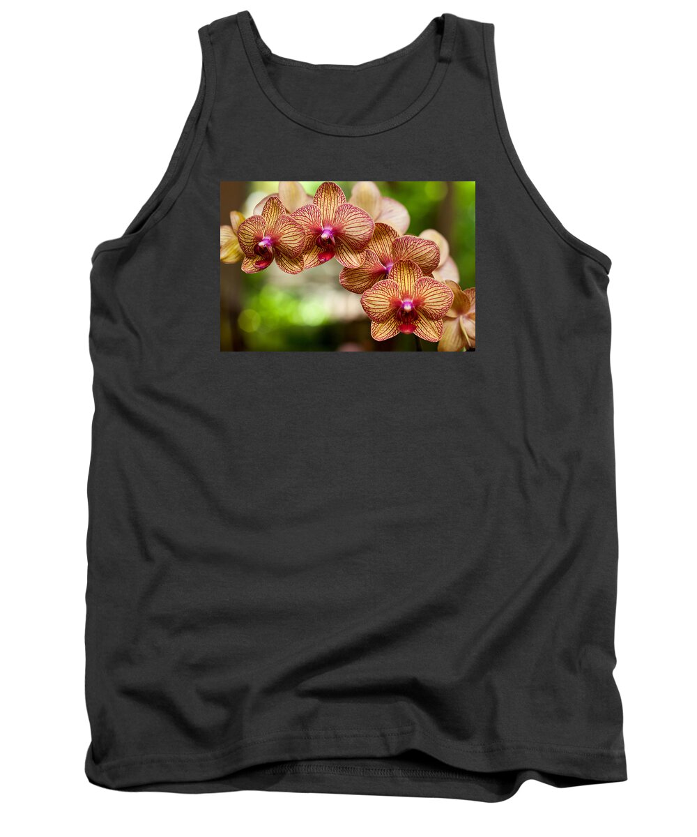 Flower Tank Top featuring the photograph Orchid by Lisa Chorny