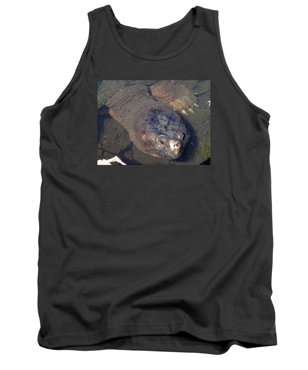 Island Tank Top featuring the photograph Island Turtle by Robert Nickologianis