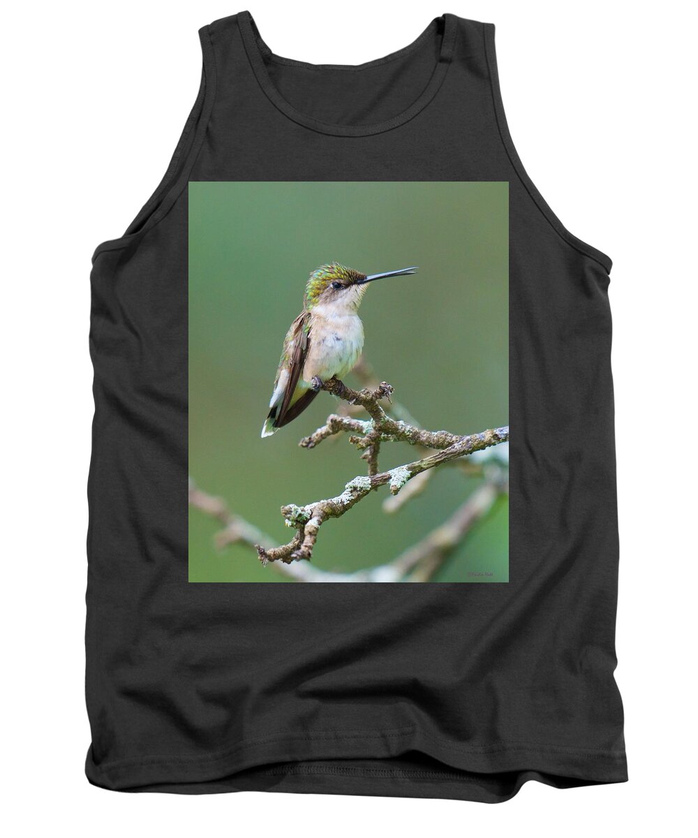 Birds Tank Top featuring the photograph Its Like Grand Central Station Here by Kristin Hatt