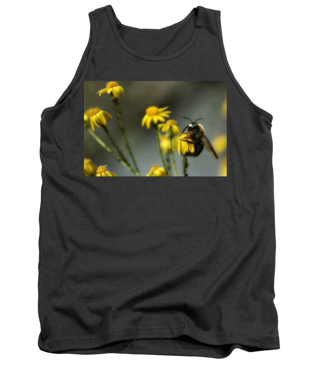 Carpenter Bee Tank Top featuring the photograph It's Mine-All Mine by Michael Eingle