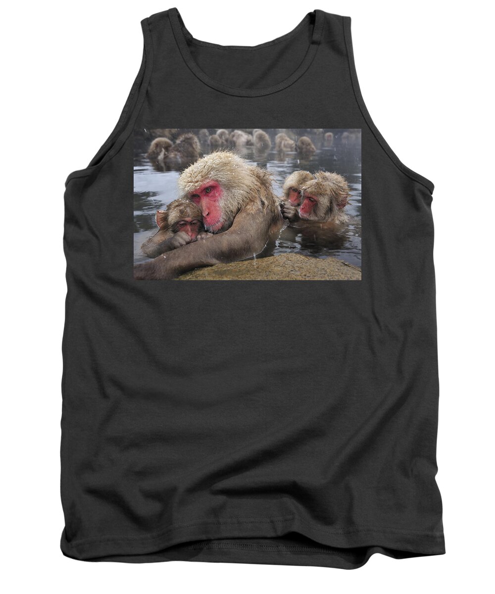 Thomas Marent Tank Top featuring the photograph Japanese Macaque Grooming Mother by Thomas Marent