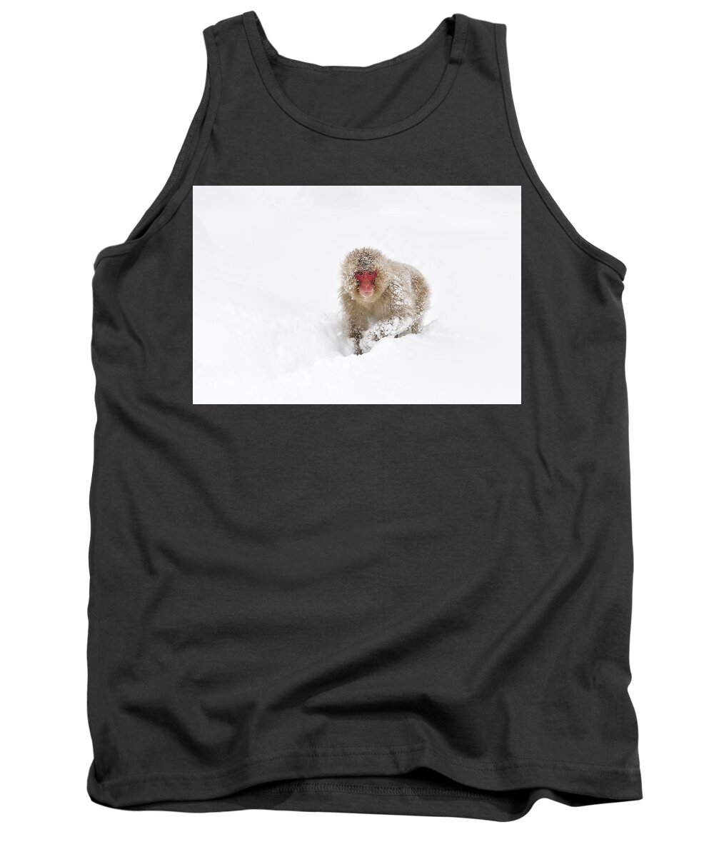 Thomas Marent Tank Top featuring the photograph Japanese Macaque In Snow Jigokudani by Thomas Marent