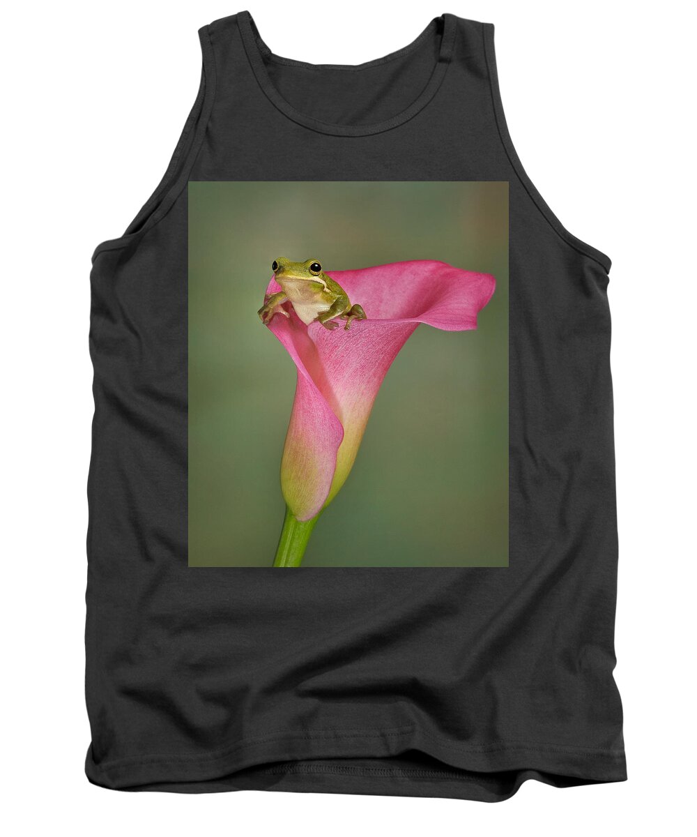 Calla Tank Top featuring the photograph Kermit Peeking Out by Susan Candelario