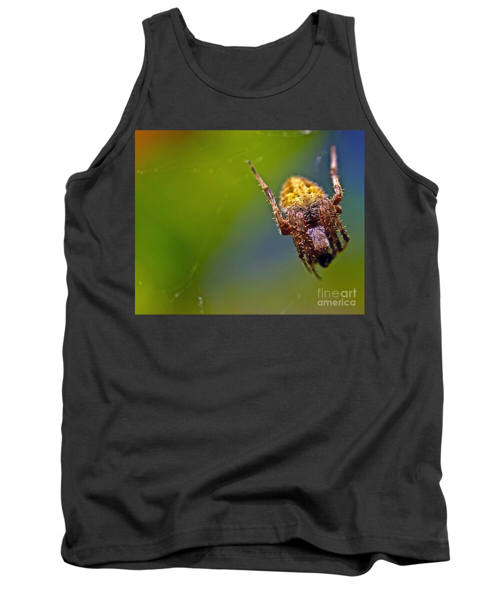Spiders Tank Top featuring the photograph Lady Spider by PatriZio M Busnel