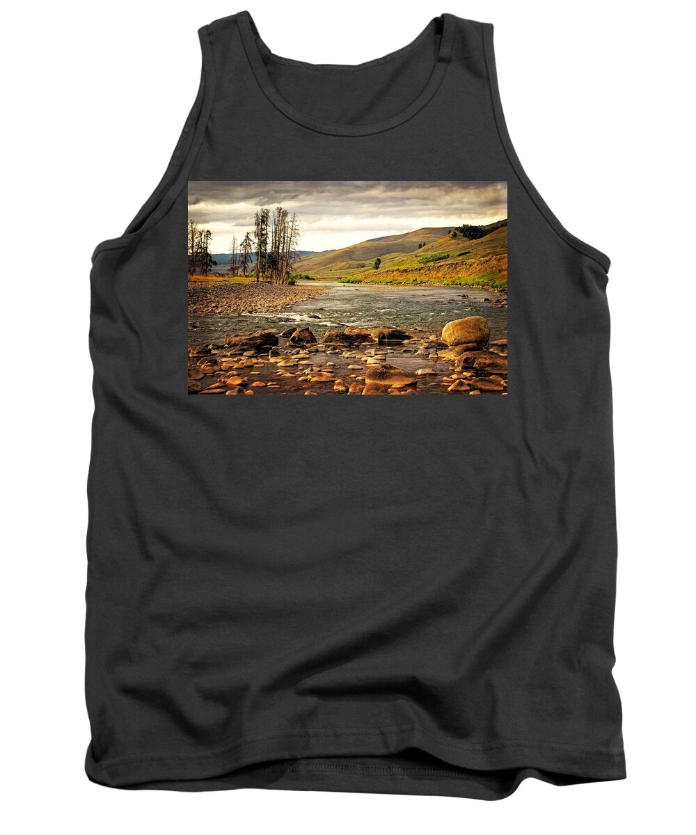 Yellowstone Tank Top featuring the photograph Lamar Downstream by Marty Koch