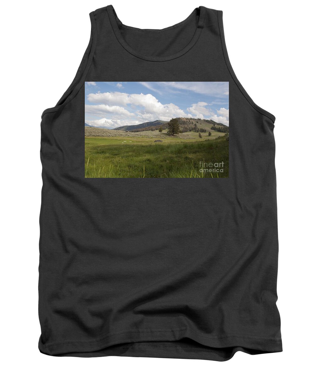 Lamar Valley Tank Top featuring the photograph Lamar Valley No. 2 by Belinda Greb
