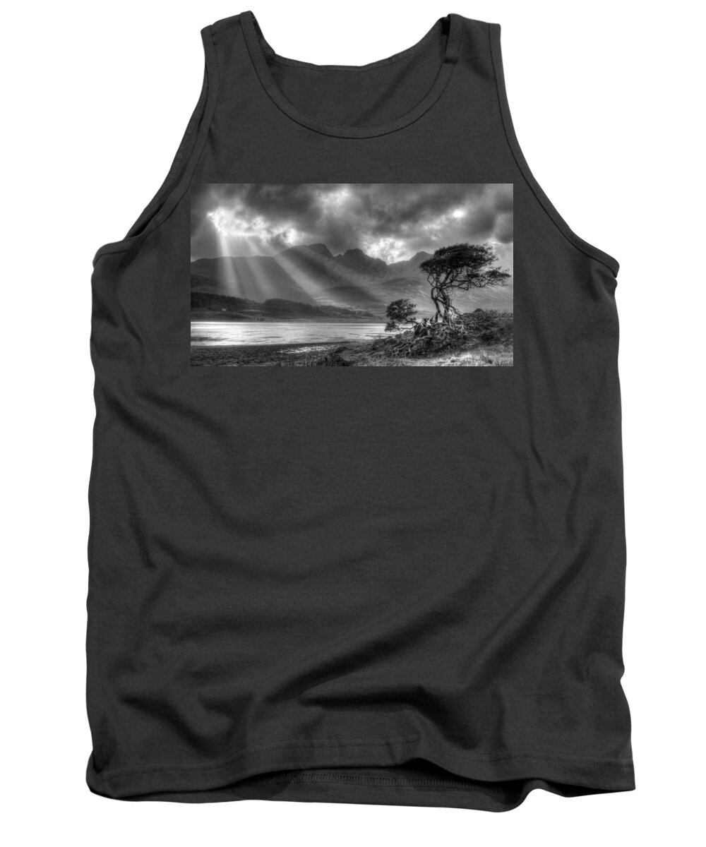 Scottish Landscapes Tank Top featuring the photograph Lonely tree. Landscape of the Scottish Highlands in Scotland by Michalakis Ppalis