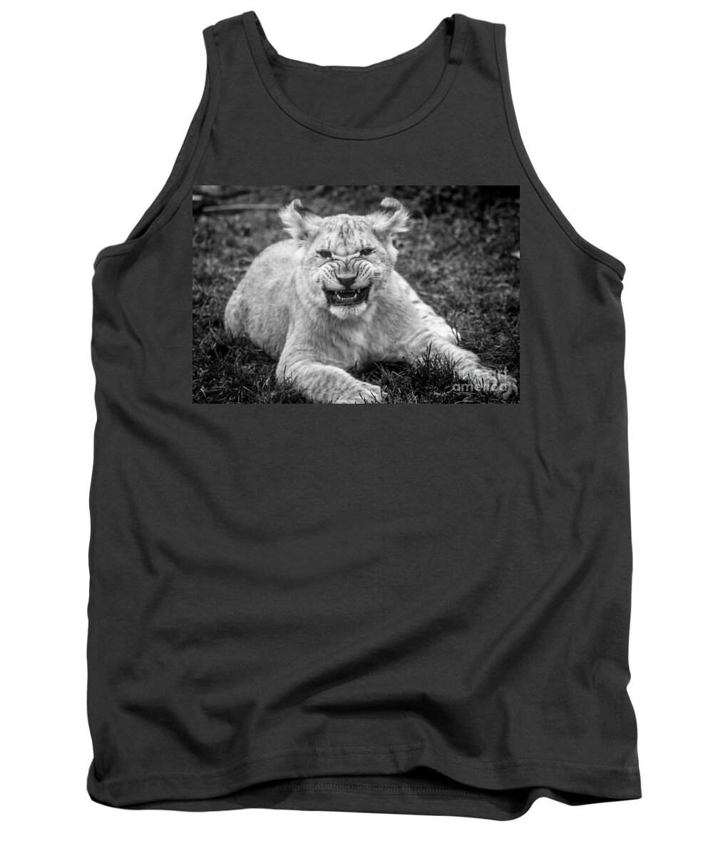 Lion Tank Top featuring the photograph Learning to Roar by David Rucker