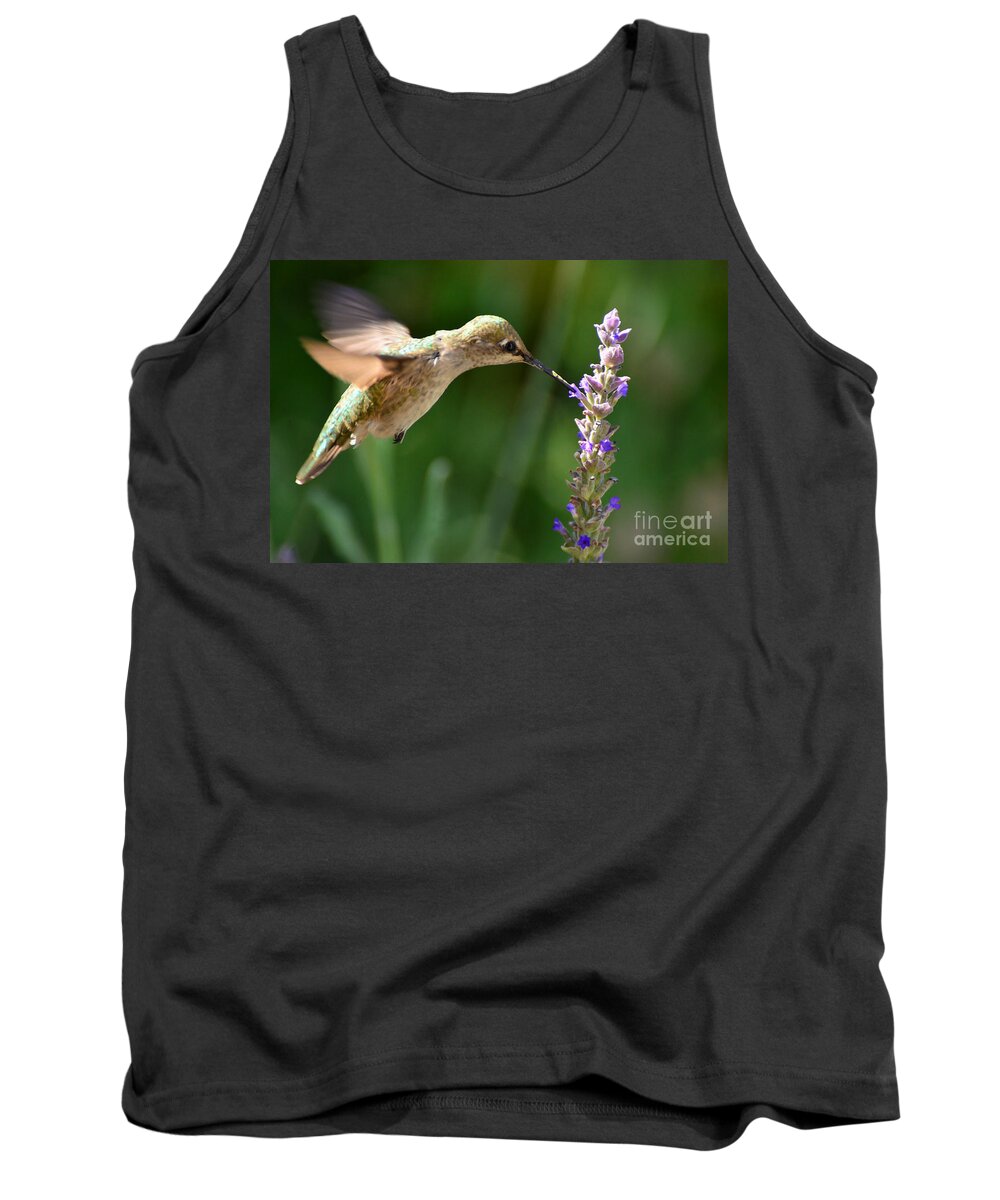 Pollination Tank Top featuring the photograph Light Filters Behind the Hummer by Debby Pueschel